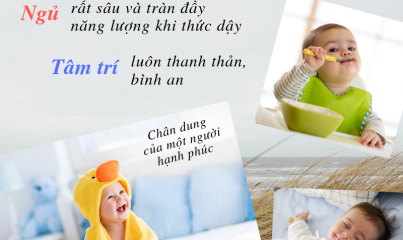 BA TRỤ CỘT CỦA SỨC KHOẺ