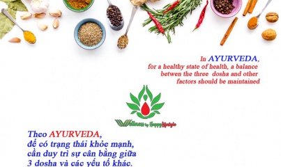 Đại cương về Ayurveda - Lịch sử và nguyên tắc bị lãng quên của y học cổ truyền Ấn Độ.